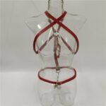 Harnais et Crochet Anal